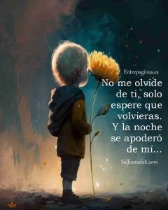 No me olvide de ti, solo espere que volvieras y la noche se apoderó de mi.